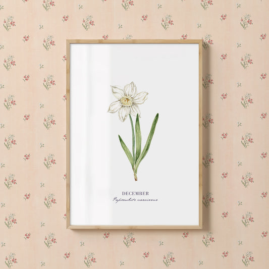 Narcissus Print - December Birth Flower Print with Names