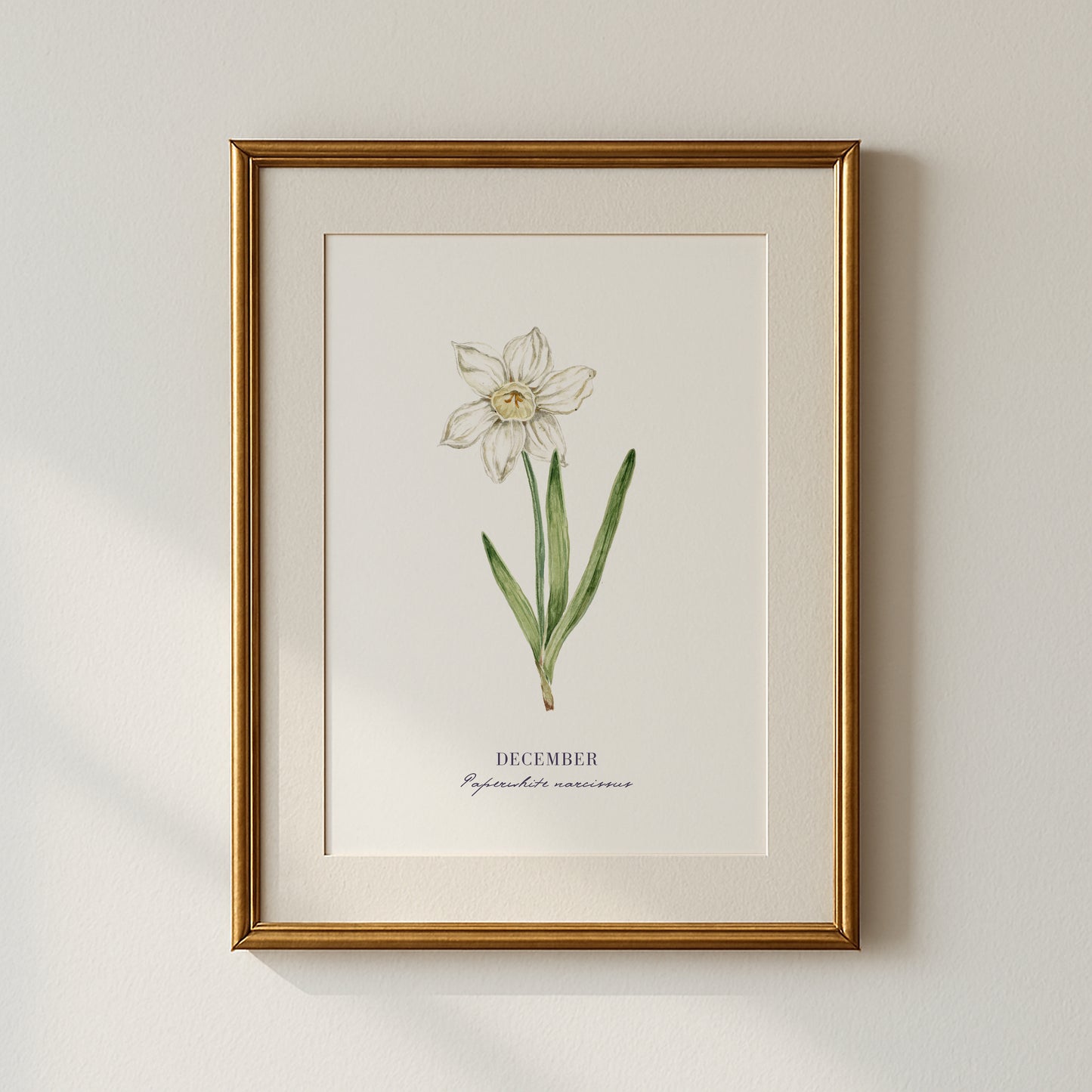 Narcissus Print - December Birth Flower Print with Names