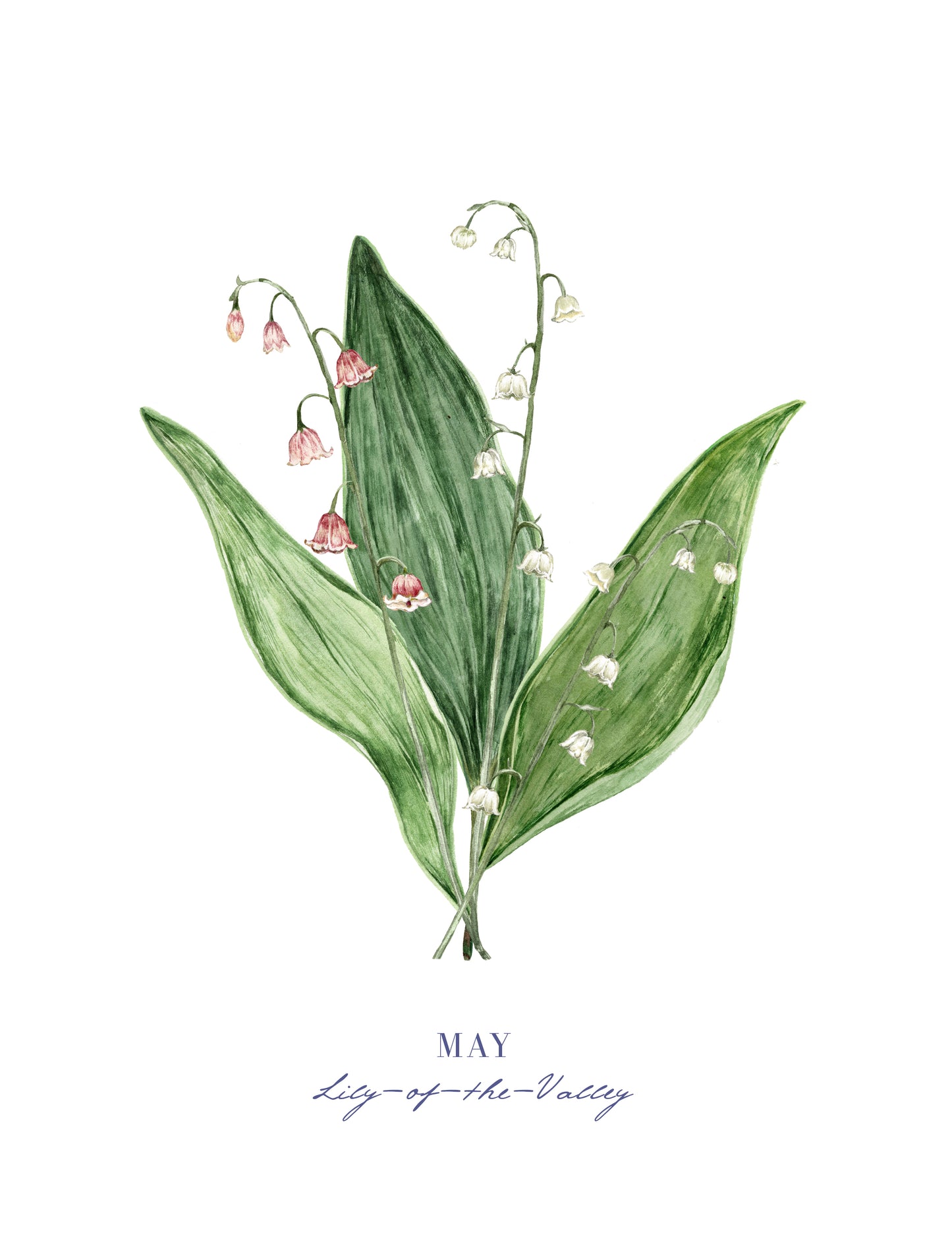 Lily of the Valley Print - May Birth Flower Print with Names
