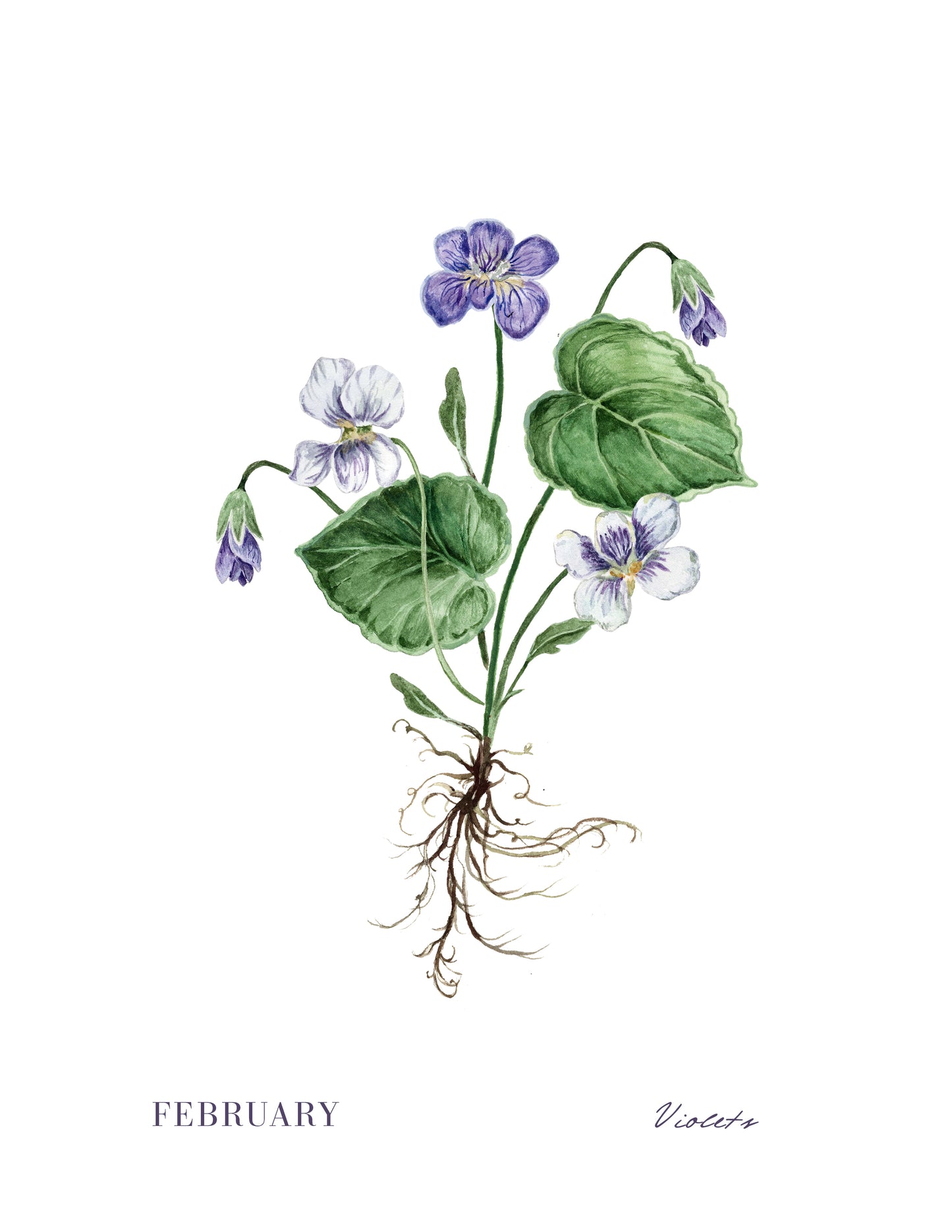 Violets Print - February Birth Flower Print with Names