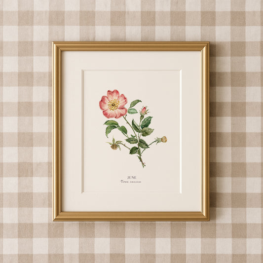 Rose - June Birth Flower Print with Names