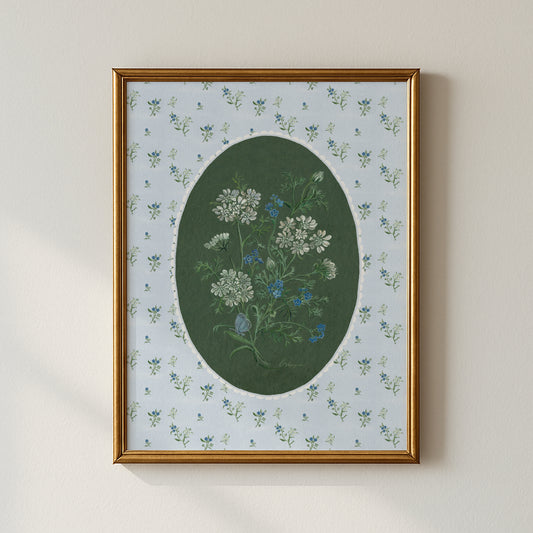 Orlaya and Forget-Me-Not Botanical Art Print