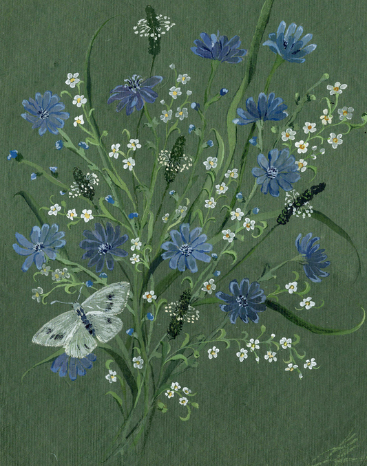 Wild Flowers - Chicory