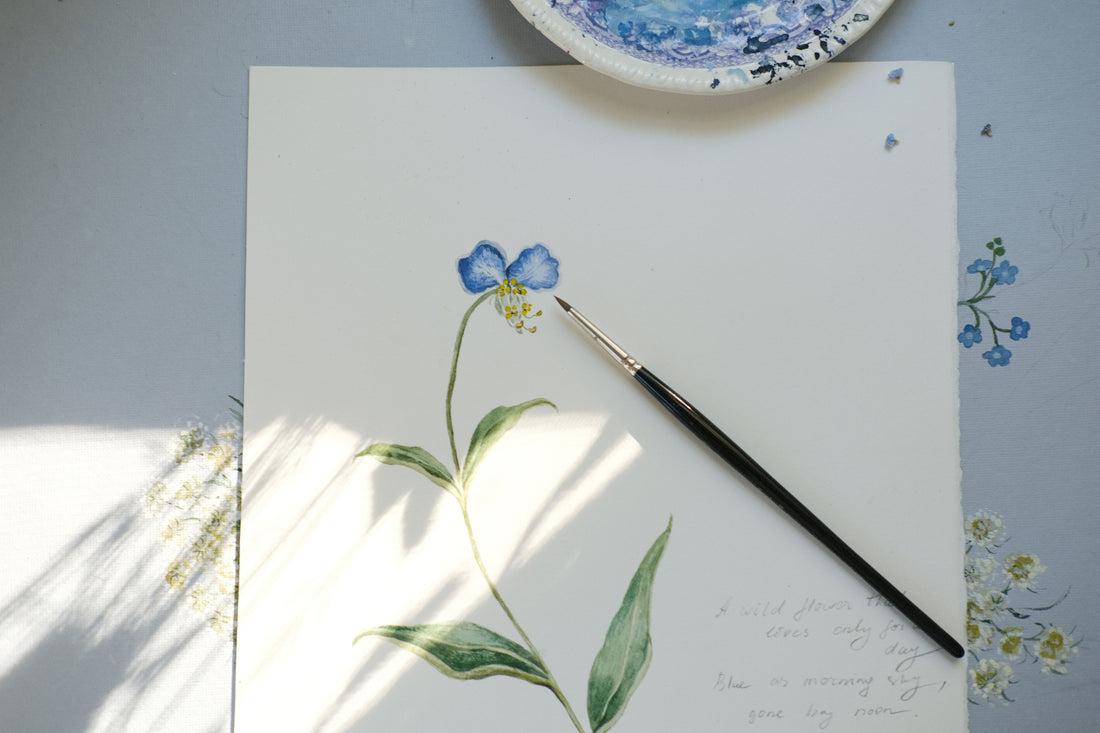 August - The Dayflower