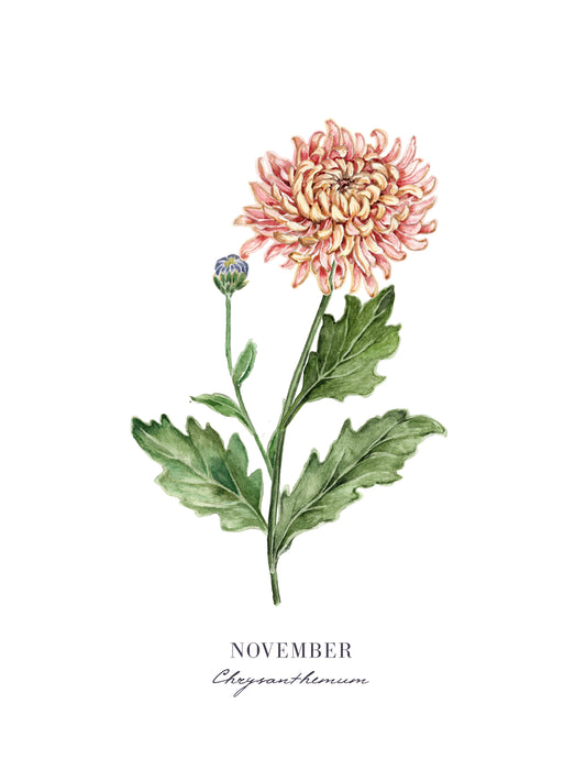 Mums Print - November Birth Flower Print with Names