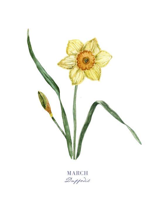 Daffodil Print - March Birth Flower Print with Names
