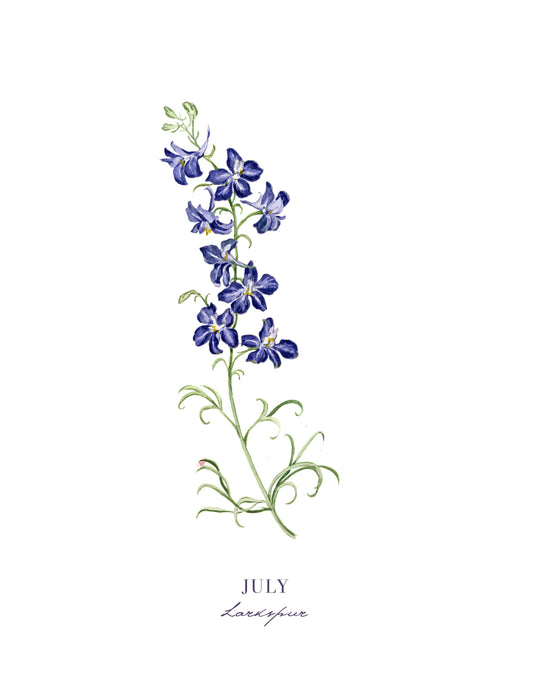 Larkspur Print - July Birth Flower Print with Names