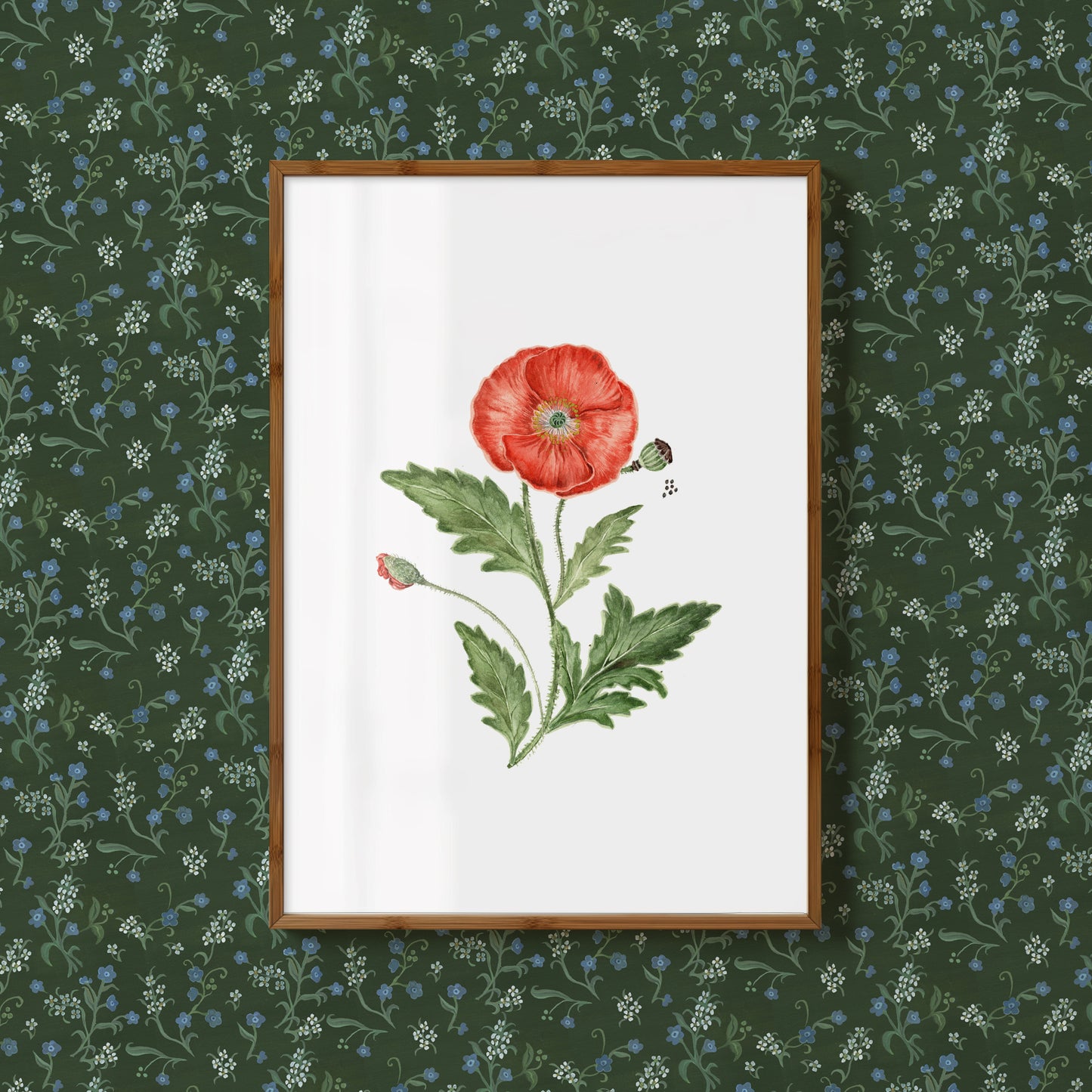Poppy Print - August Birth Flower Print with Names