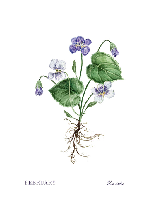 Violets Print - February Birth Flower Print with Names