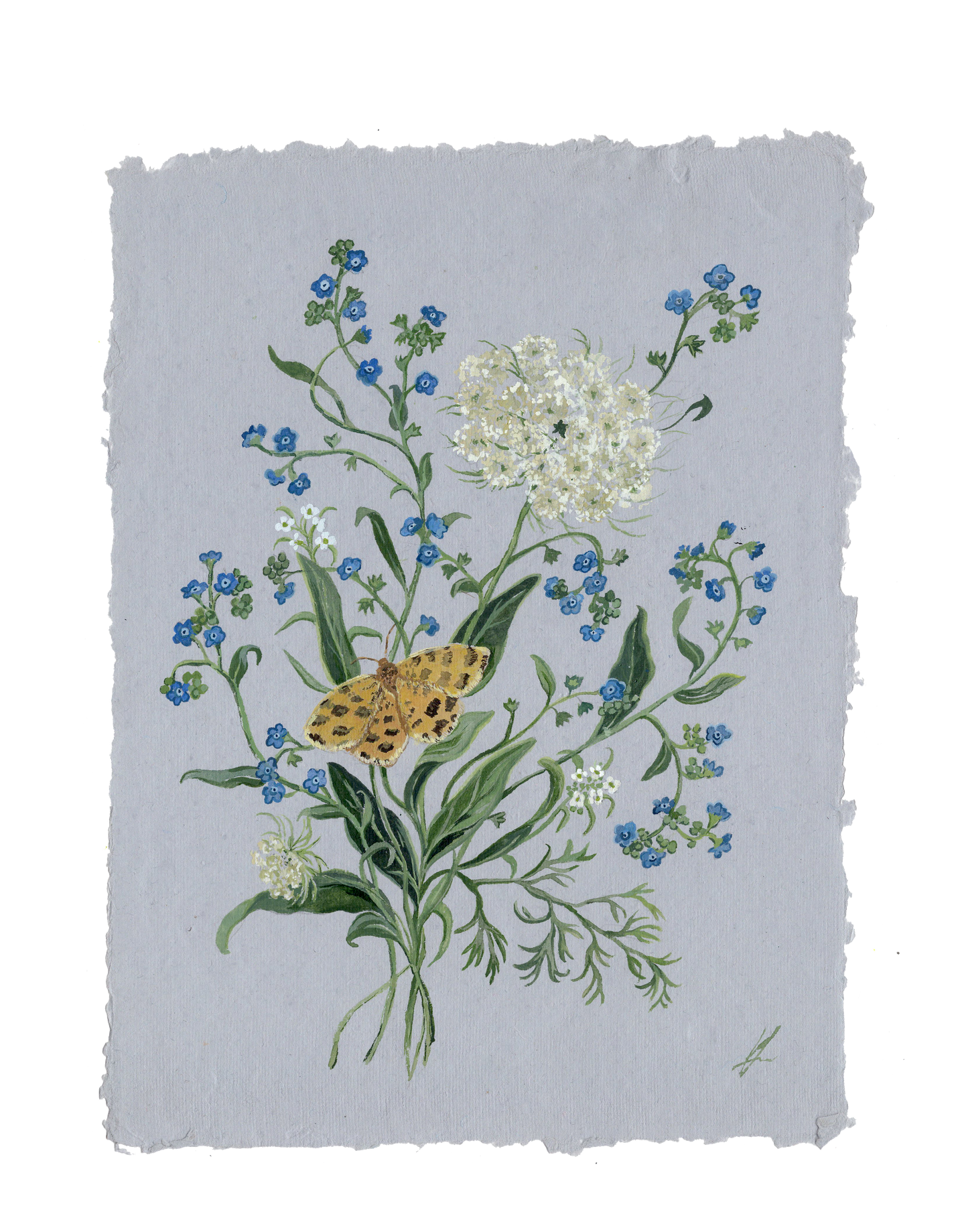 Forget-me-nots and Queen Anne's Lace