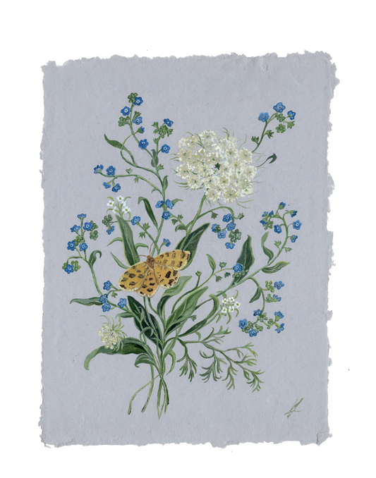 Forget-me-nots and Queen Anne's Lace