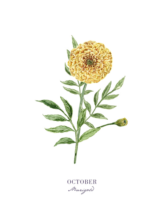 Marigold Print - October Birth Flower Print with Names