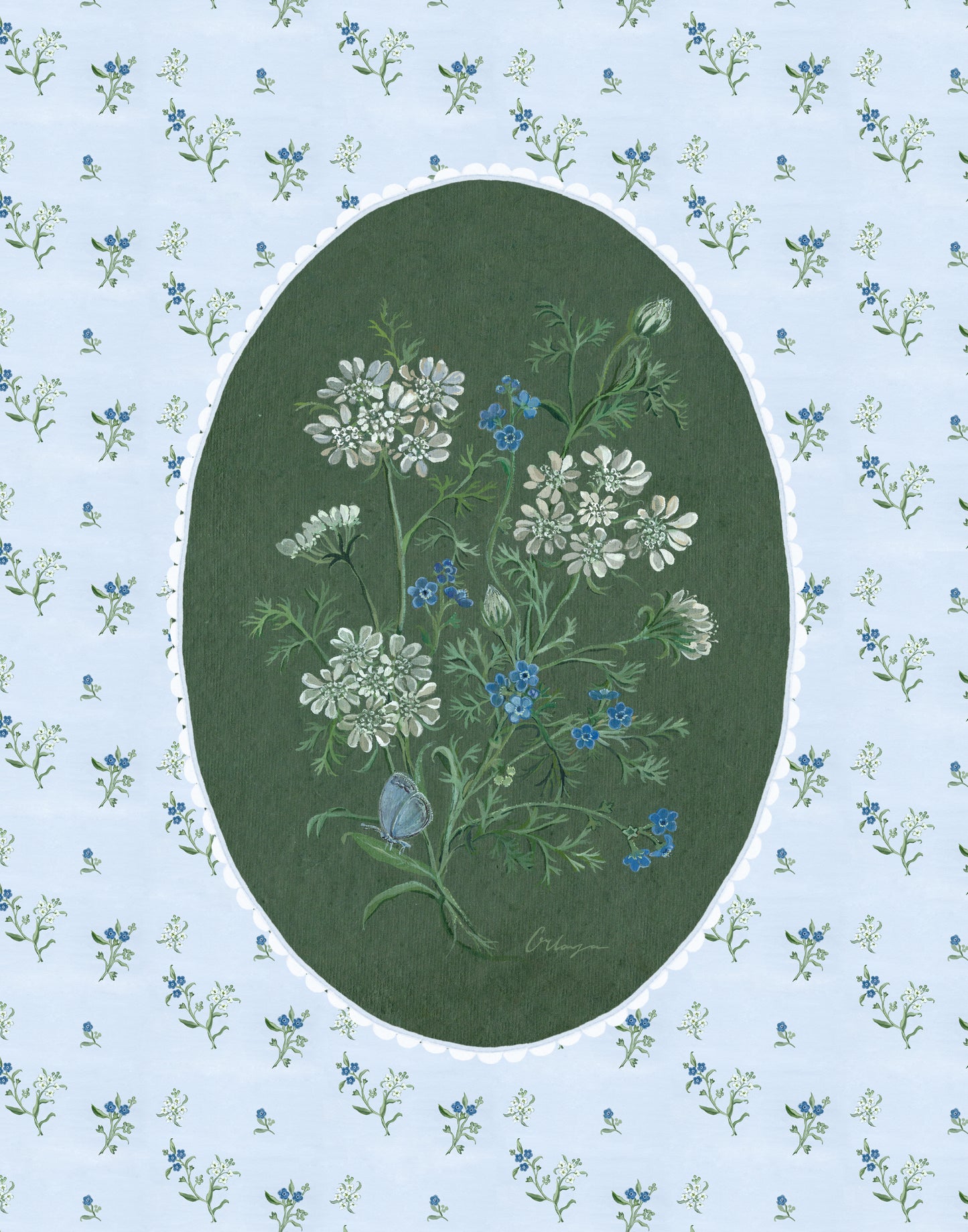 Orlaya and Forget-Me-Not Botanical Art Print
