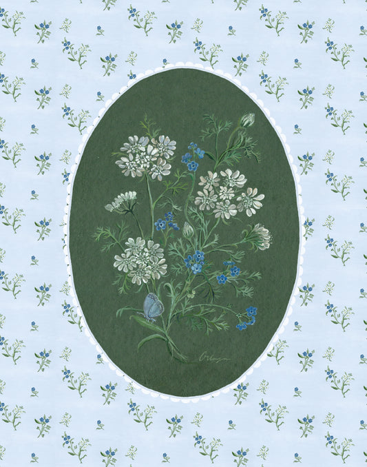 Orlaya and Forget-Me-Not Botanical Art Print
