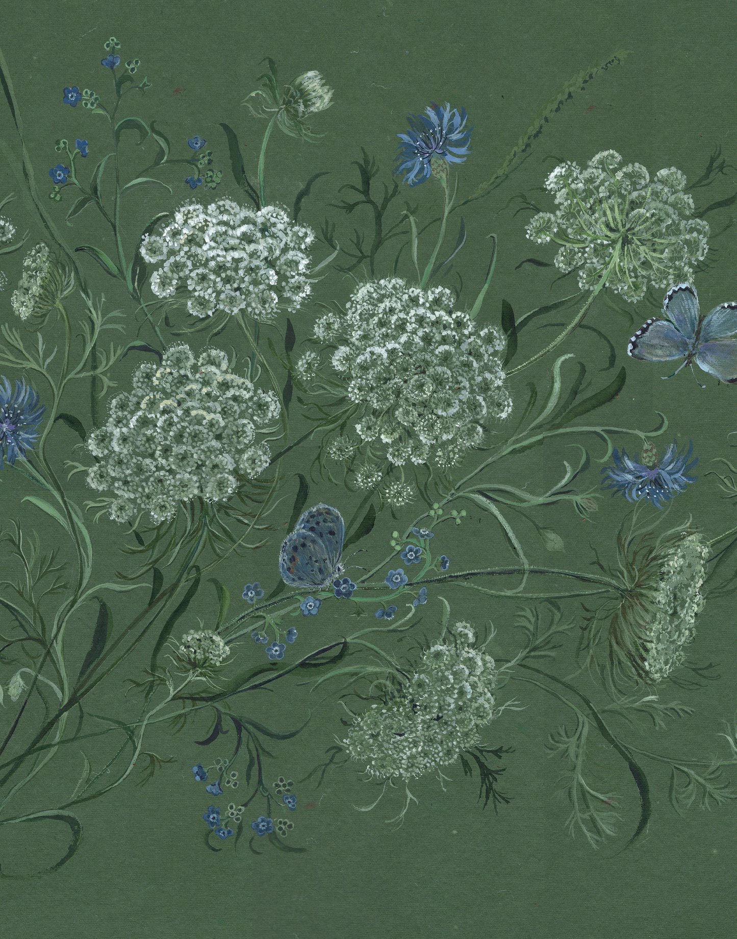 Queen Anne's Lace Large painting