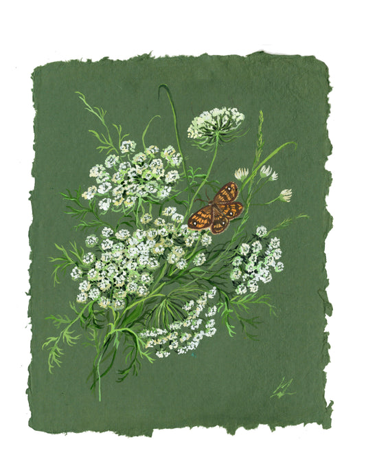 Queen Anne's Lace