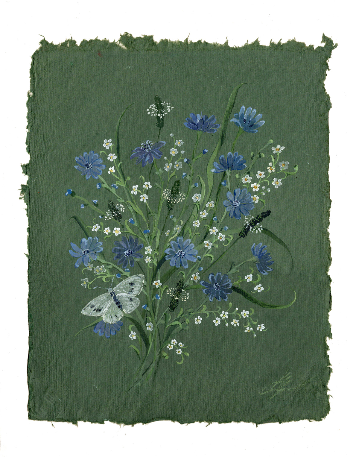 Wild Flowers - Chicory